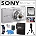 Sony Cyber-shot DSC-W610 14.1 MP Digital Camera with 4x Optical Zoom and 2.7-Inch LCD in Silver + 4GB SDHC + Sony Case + Accessory Kit