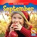 cover image for 9781433919251
