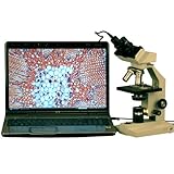 AmScope 1000X