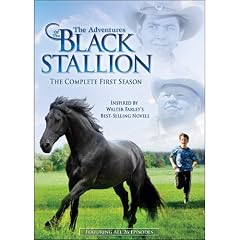 Adventures of Black Stallion: First Season [DVD] [Region 1] [US Import] [NTSC]