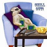 Chill Out! Meerkat Birthday Card