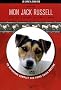 Mon Jack Russel : L'�duquer, le dresser, le soigner, l'aimer (1DVD)