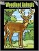 Woodland Animals Stained Glass Coloring Book (Dover Nature Stained Glass Coloring Books) by John Green