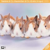 Rabbits & Co., Broschuerenkalender 2009; Kaninchen & Co.; Kralici & spol.