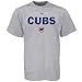 Majestic Chicago Cubs Ash Series Sweep Short Sleeve T-Shirt