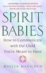 Spirit Babies: How to Communicate wit...
