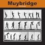 Eadweard Muybridge Calendar