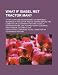 What if Isabel met Tractor Man?: a post-hurricane reassessment of emergency readiness in the capital region: hearing before the Committee on ... Congress, first session, October 3, 2003.