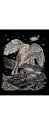 HLGR FOIL ENGRV PEGASUS RBMHOLO12