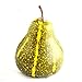 Factory Direct Craft Package of 4 Small Hazy Green and Yellow Artificial Gourds for Home Decor, Crafting and Displaying