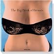 Big Book of Breasts