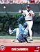 Ryne Sandberg Chicago Cubs 8 x 10 MLB Licensed Photo (1991) - Shipped in 8 x 10 Topload Holder!
