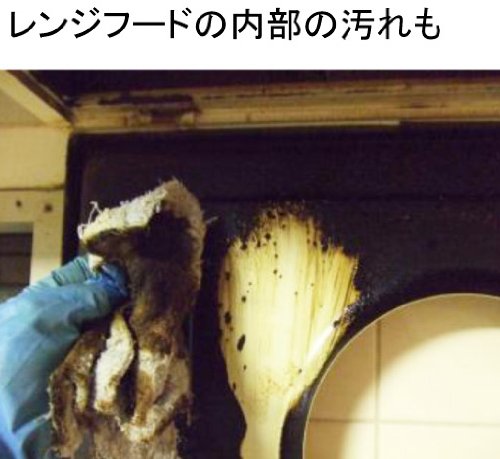業務用超強力油用洗剤 技・職人魂 油職人 スプレーボトル 500ml