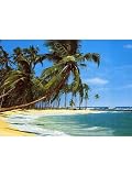 IDEALDECOR WALL MURALS & DOORPOSTERS Wallpaper 220 Wallpaper IDEALDECOR WALL MURALS & DOORPOSTERS Wallpaper -220 Wallpaper