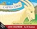 Capricorn: 2010 Mini Day-to-Day Calendar