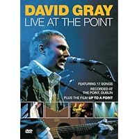 David Gray - Live at the Point (2001)