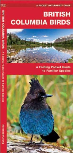 British Columbia Birds: A Folding Pocket Guide to Familiar Species (Pocket Naturalist Guide Series)