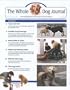 Whole Dog Journal (1-year auto-renewal) Whole Dog Journal (1-year auto-renewal)