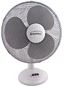 In-Cuisine 16 Inch Desk Fan 3 Speed Settings