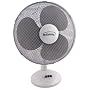 In-Cuisine DFW16 16 Inch Desk Fan 3 Speed Settings by In-Cuisine