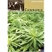 Cannabis, Hanf, Hemp, Chanvre, Canamo