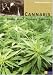 Cannabis. Hanf, Hemp, Chanvre, Canamo