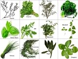 Culinary Herb Set - 12 Pack (Sage, Rosemary, Oregano, Parsley, Cilantro, Thyme, Dill, Mustard, Chives, Marjoram, Savory & Basil)
