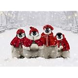 Avanti Christmas Cards, Caroling Penguins, 10 Count