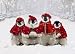 Avanti Christmas Cards, Caroling Penguins, 10 Count