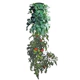 Topsy Turvy Tomato & Herb Planter with Bottom 51gDGoKZFnL. SL160 Topsy Turvy Tomato & Herb Planter with Bottom