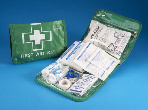 Steroplast 40 Piece First Aid Kit Bag for Car Travel or Home