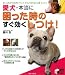 愛犬・本当に困った時のすぐ効くしつけ!―たった3つのポイントでしつけはうまくいく (実用BEST BOOKS)