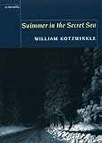 Swimmer in the secret sea : a novella