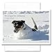Conquer by Continuing: New Year Holiday Cards - box of 10 cards & envelopes