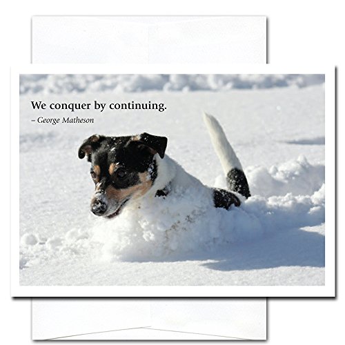 Conquer by Continuing: New Year Holiday Cards - box of 10 cards & envelopes