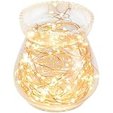 OxyLED Dimmable LED String Lights Wire Lights, Starry String Lights, D&eacute;cor Rope Lights for Garden, Patio, Tree, Party, Xmas, Indoor and Outdoor Decor (120 LED, 40 Ft, Warm White) (Copper)