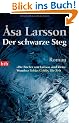 Der schwarze Steg: Roman