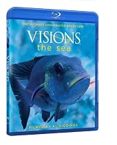 Best Selling Price For Visions of the Sea At Amazon.com..