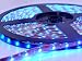 Filite 5 Meter 12V 300 Leds Flexible LED Ribbon Waterproof 16.4Ft 3528 Led Strip Light Blue IP65 led strip lighting