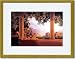 Gold Framed/Matted Print 17x23, Daybreak