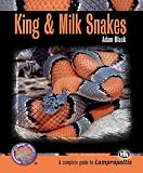 Kindle Edition Coverpage image