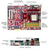 MSI K9A2 Neo-F AM2 AMD 770 AM2 Athlon64/Athlon64 FX/Athlon64 X2/Sempron Socket AM2+ 2600 MHz PC2-8500 (DDR2-1066) ATX Motherboard