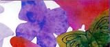 COLOR DIFFUSING BUTTERFLIES