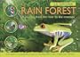 3-D Explorer: Rain Forest: A Journey from the River to the Treetops (3D Explorers)