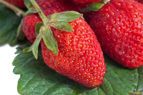 HEIRLOOM NON GMO Surecrop Strawberry 50 seeds HEIRLOOM NON GMO Surecrop Strawberry 50 seeds