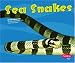 Sea Snakes (Pebble Plus) by Jody Sullivan Rake