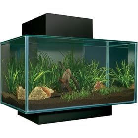 Fluval EDGE 6 Gallon Aquarium - FLUVAL EDGE 6 GAL AQUARIUM - BLACK