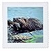3dRose Black Great Dane - Quilt Square, 12 by 12-Inch (qs_1054_4)