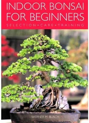 Indoor Bonsai for Beginners