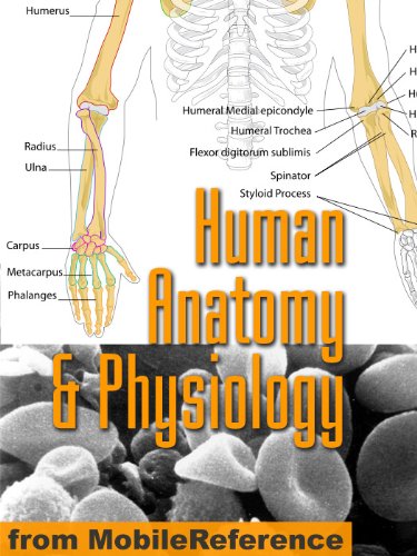 Textbook - Human Anatomy and Physiology Study Guide (Mobi Medical)